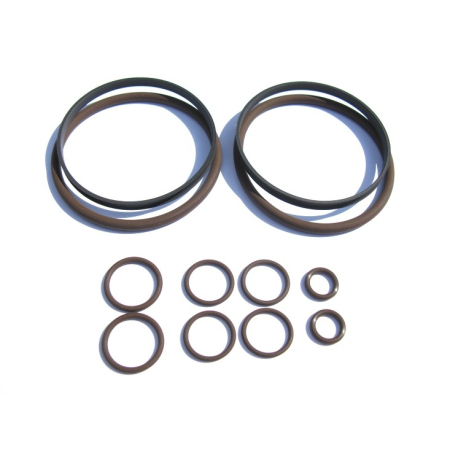 Beisan M62TU Vanos Seals Repair Kit BS051